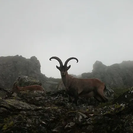 Arroal Venkovský dům *