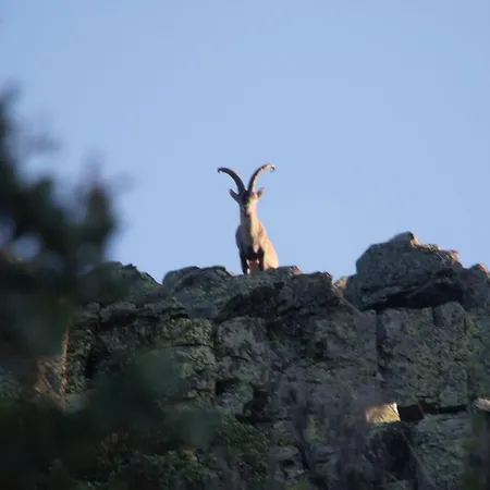 Venkovský dům Arroal *