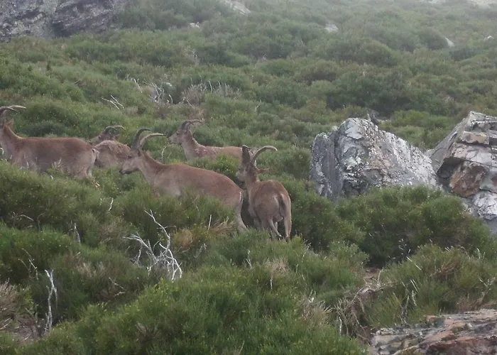 Arroal Landhaus Sotoserrano
